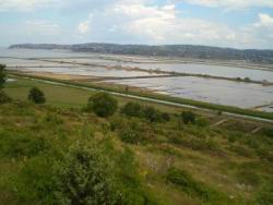 04_saline sicciole.JPG